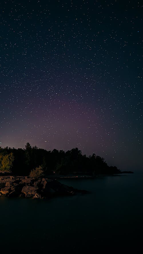 Starry Sky above Lake Shore