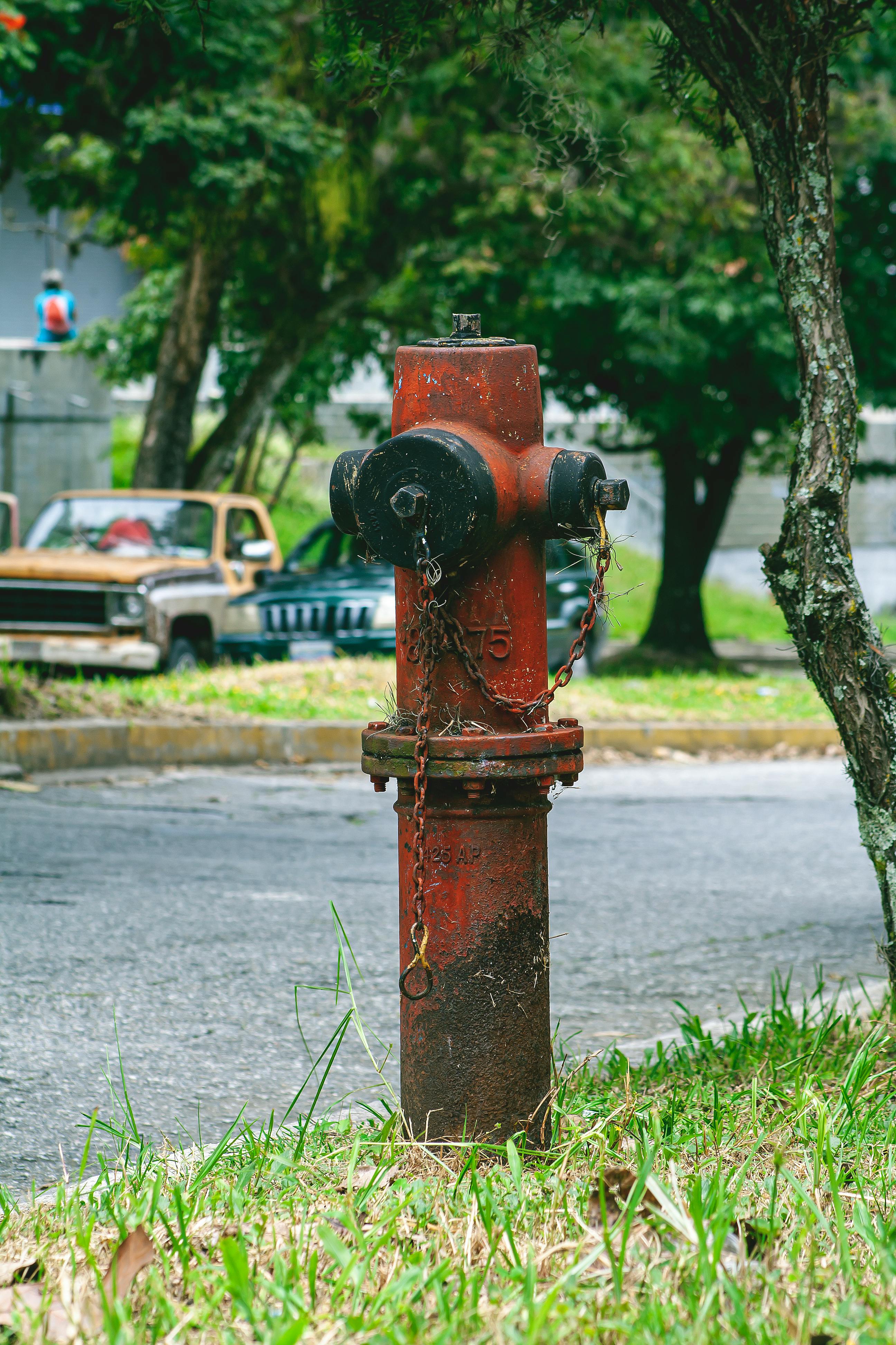 Silver Fire Hydrant · Free Stock Photo