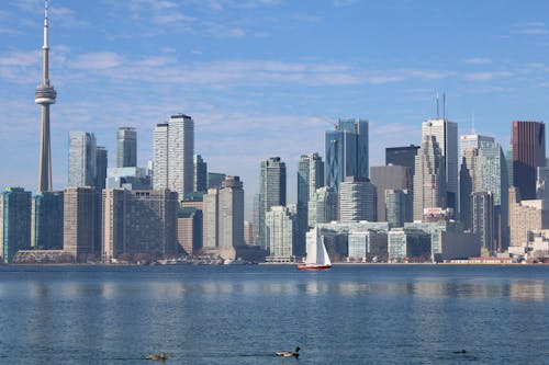 The Toronto Skyline