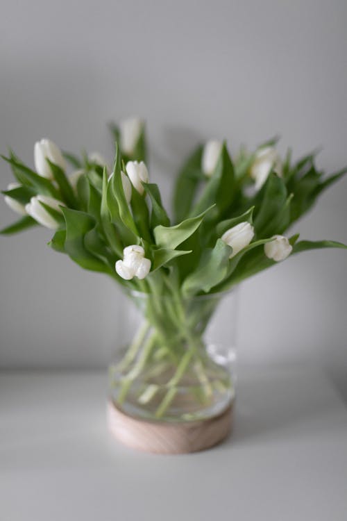 Tulips in a Glass Vase 