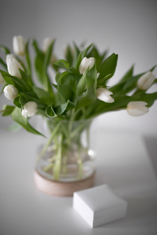 Free Beautiful white tulips in a glass vase with soft lighting, ideal for floral decor. Stock Photo
