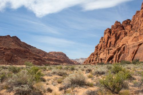 Free Explore a breathtaking desert landscape featuring majestic red rock formations under a clear blue sky. Stock Photo