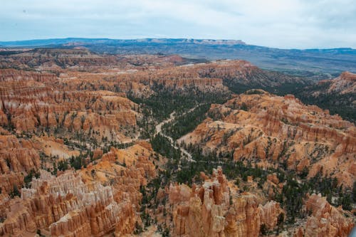 Foto profissional grátis de aerofotografia, bryce canyon, castanho
