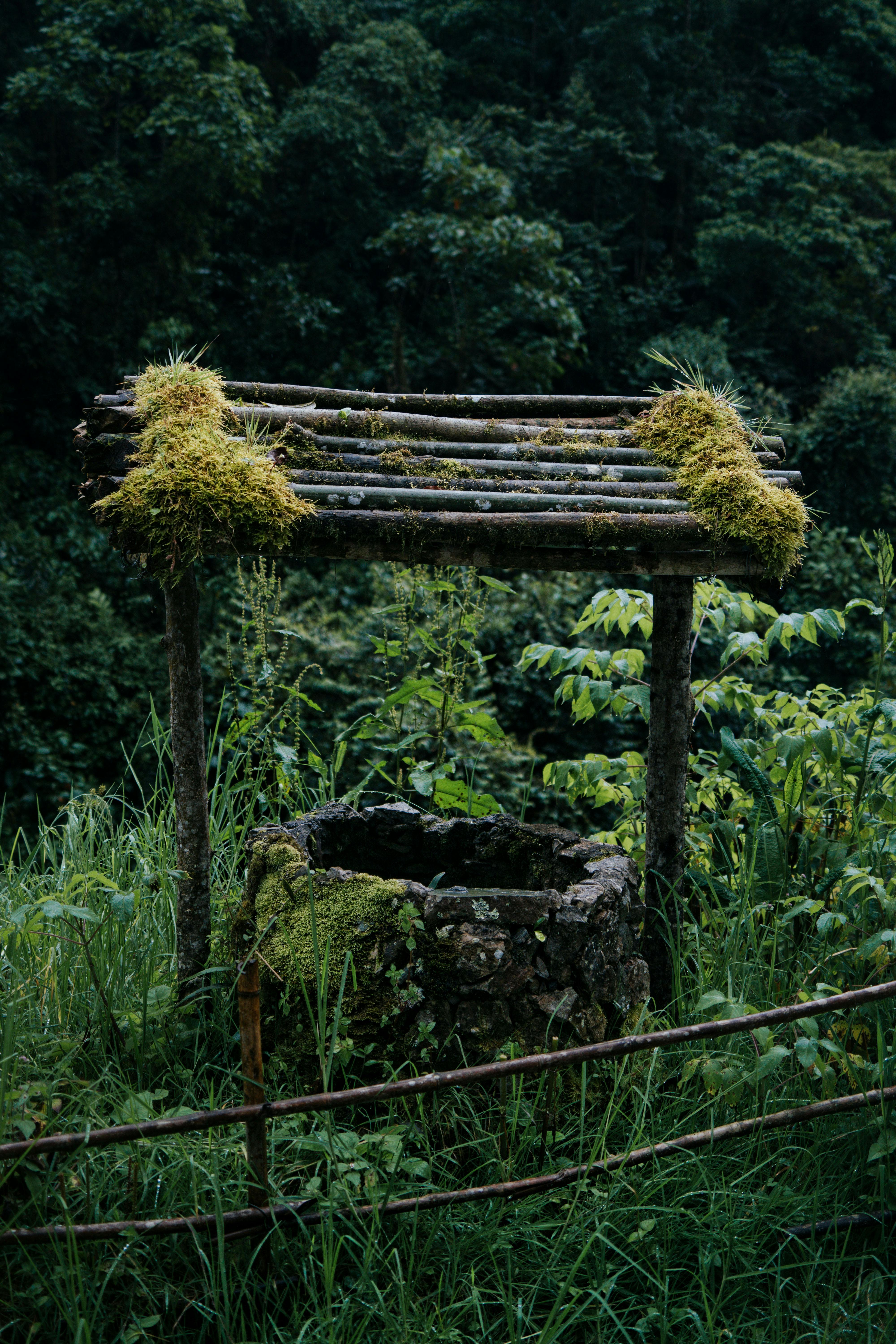 A moss-covered stone well in a lush forest setting, Santa Rosa de Cabal, Colombia.
