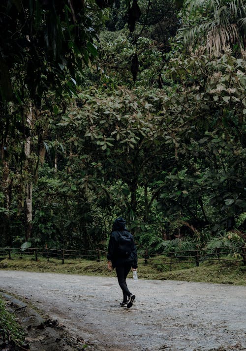 Immagine gratuita di camminando, felpa con cappuccio, persona