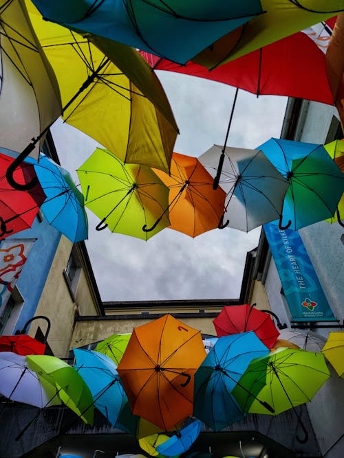 Fotobanka s bezplatnými fotkami na tému daždivý deň, dáždniky, dekorácia