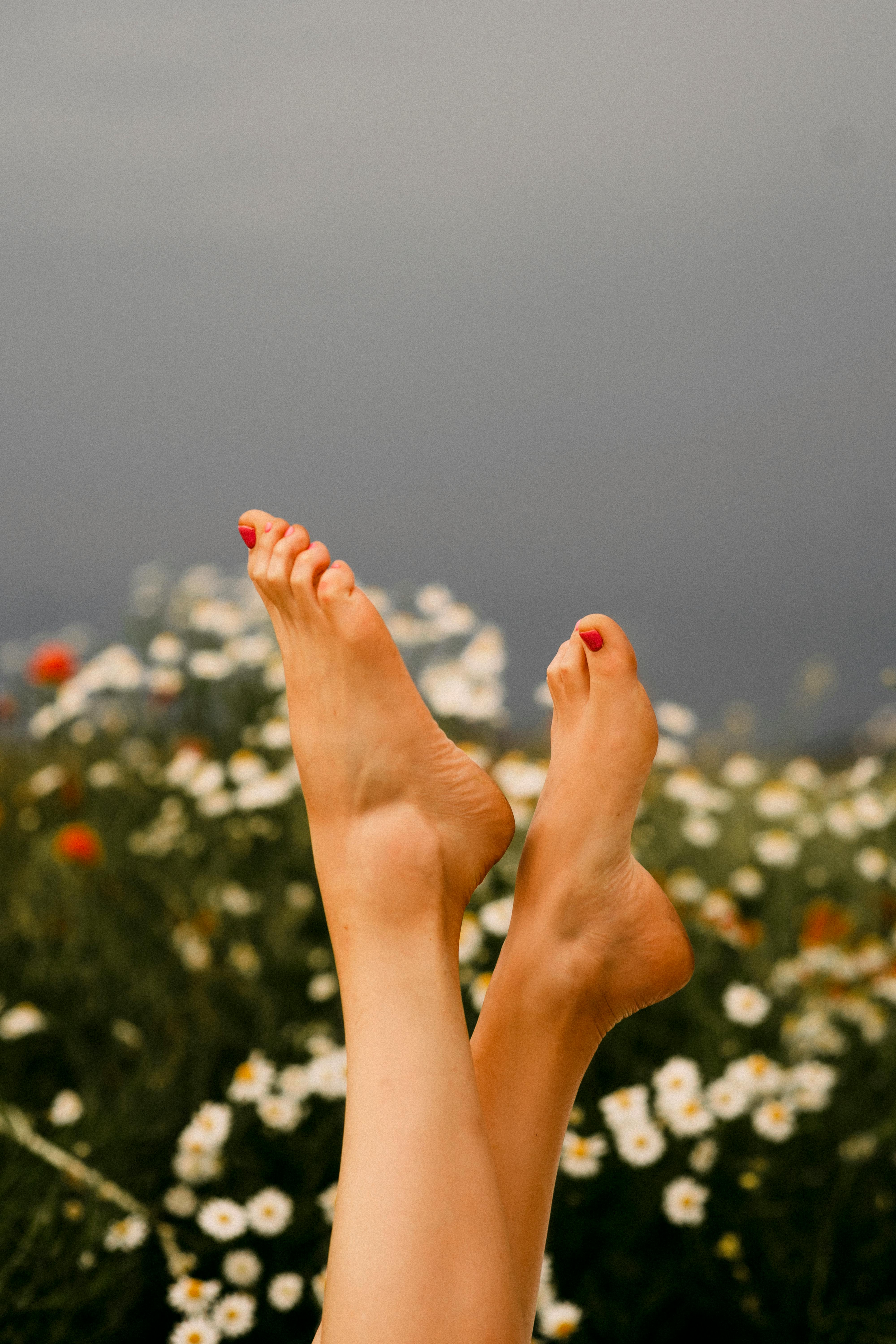 Female Feet with Flowers in Background · Free Stock Photo