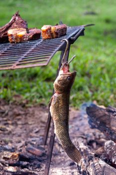 A rustic outdoor grilling setup featuring fish and steaks on an open flame.