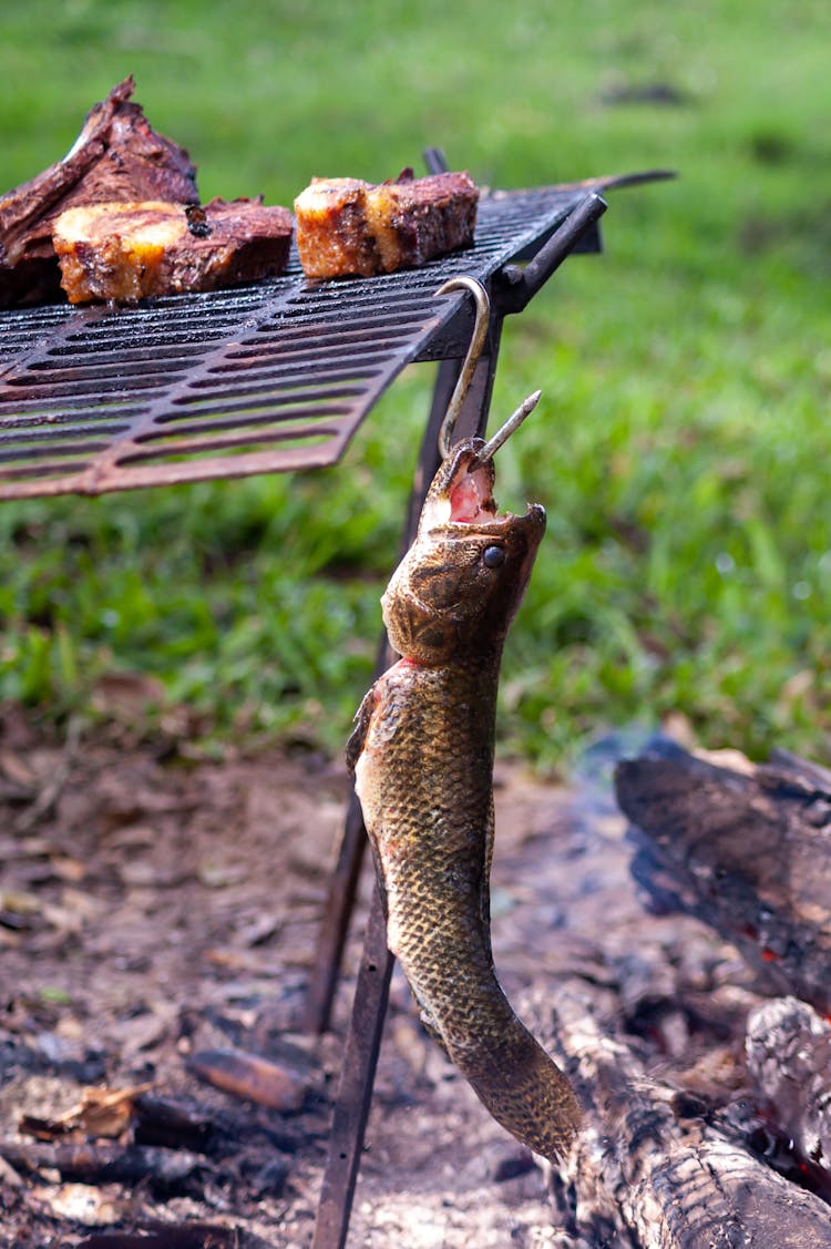 Fish Hanging On The Grill