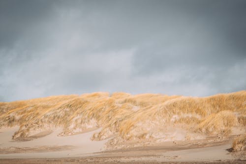 Gratis stockfoto met bewolkte lucht, bruin gras, landschap