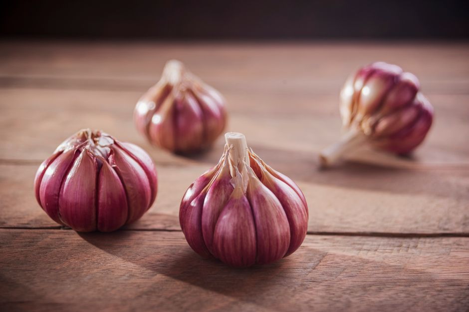 Close-up of fresh garlic bulbs on a rustic wooden table, perfect for culinary and healthy eating concepts.