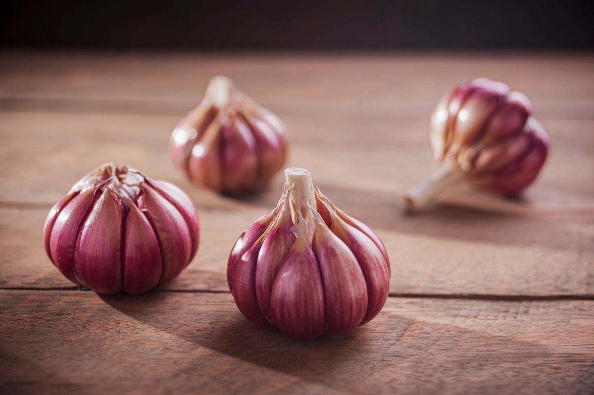 Fresh whole garlic bulbs on a rustic wooden table, one of the richest everyday sources of prebiotic inulin and fructo-oligosaccharides