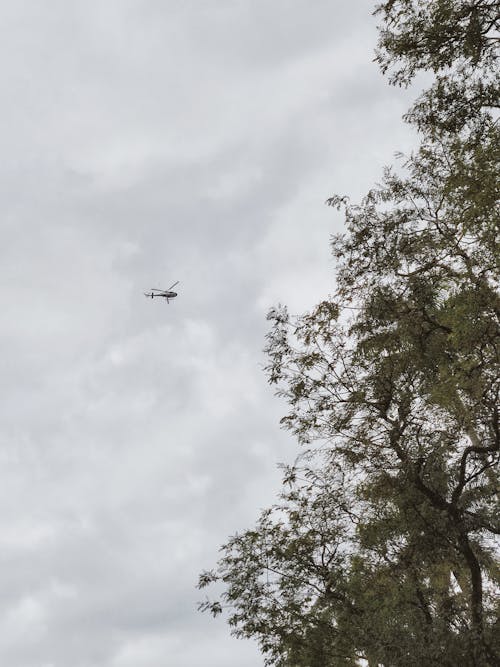 Gratuit Imagine de stoc gratuită din aeronavă, cer înnorat, copaci verzi Fotografie de stoc