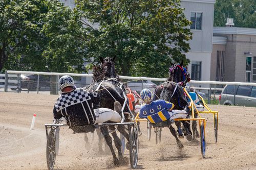 Harness Racing Photos, Download The BEST Free Harness Racing Stock ...