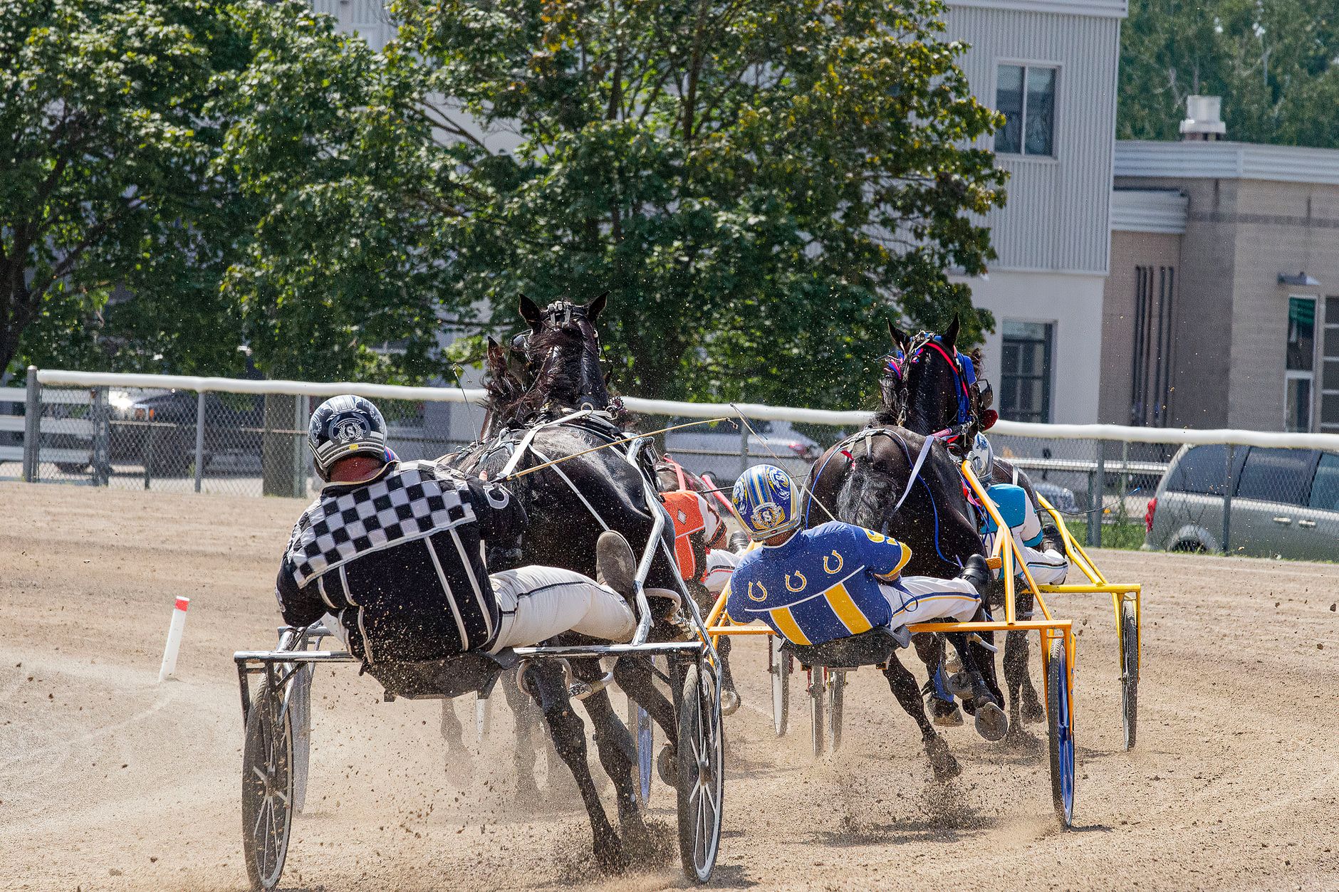 Exciting harness racing action captured with racers and horses in full motion on a sunny day.