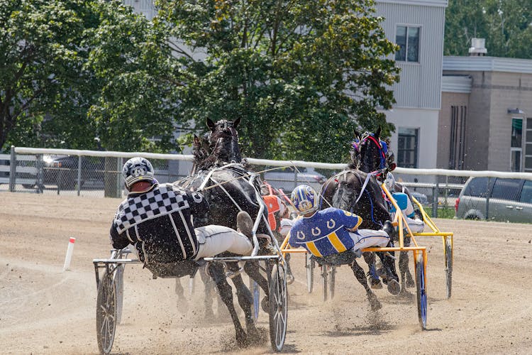 Men Harness Racing On Race Track