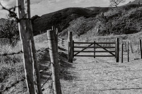 Grayscale Photo of Wooden Fence and Gate