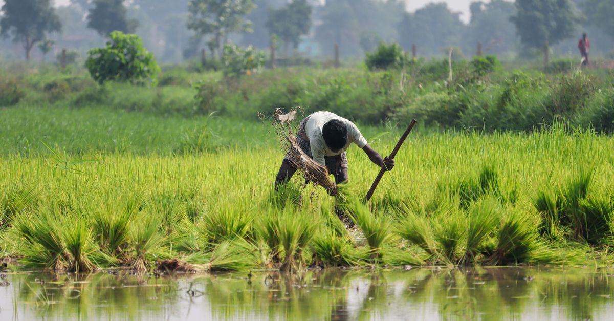 A Man Farming on the Field · Free Stock Photo