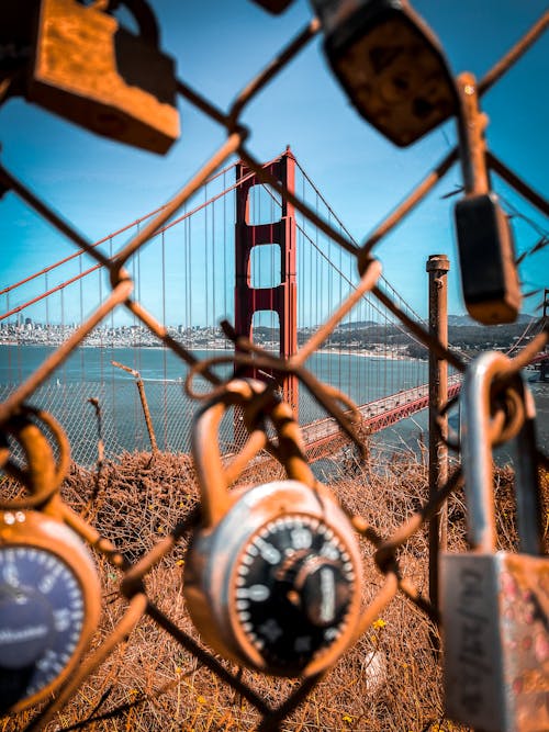 Základová fotografie zdarma na téma ggb, most Golden Gate, pad lock