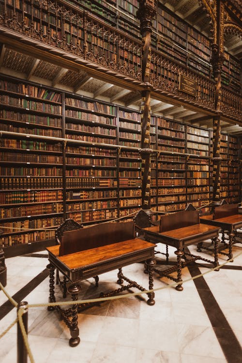 Безкоштовне стокове фото на тему «Бібліотека, вертикальні постріл, дерев’яні столи»