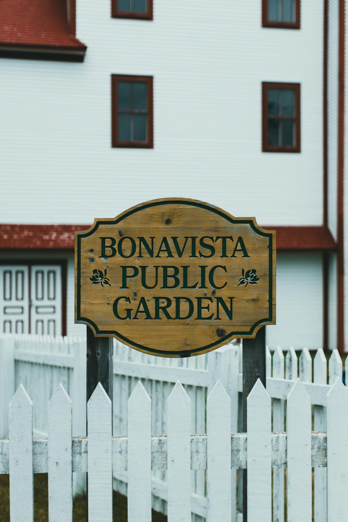 Bonavista Photos, Download The BEST Free Bonavista Stock Photos & HD Images