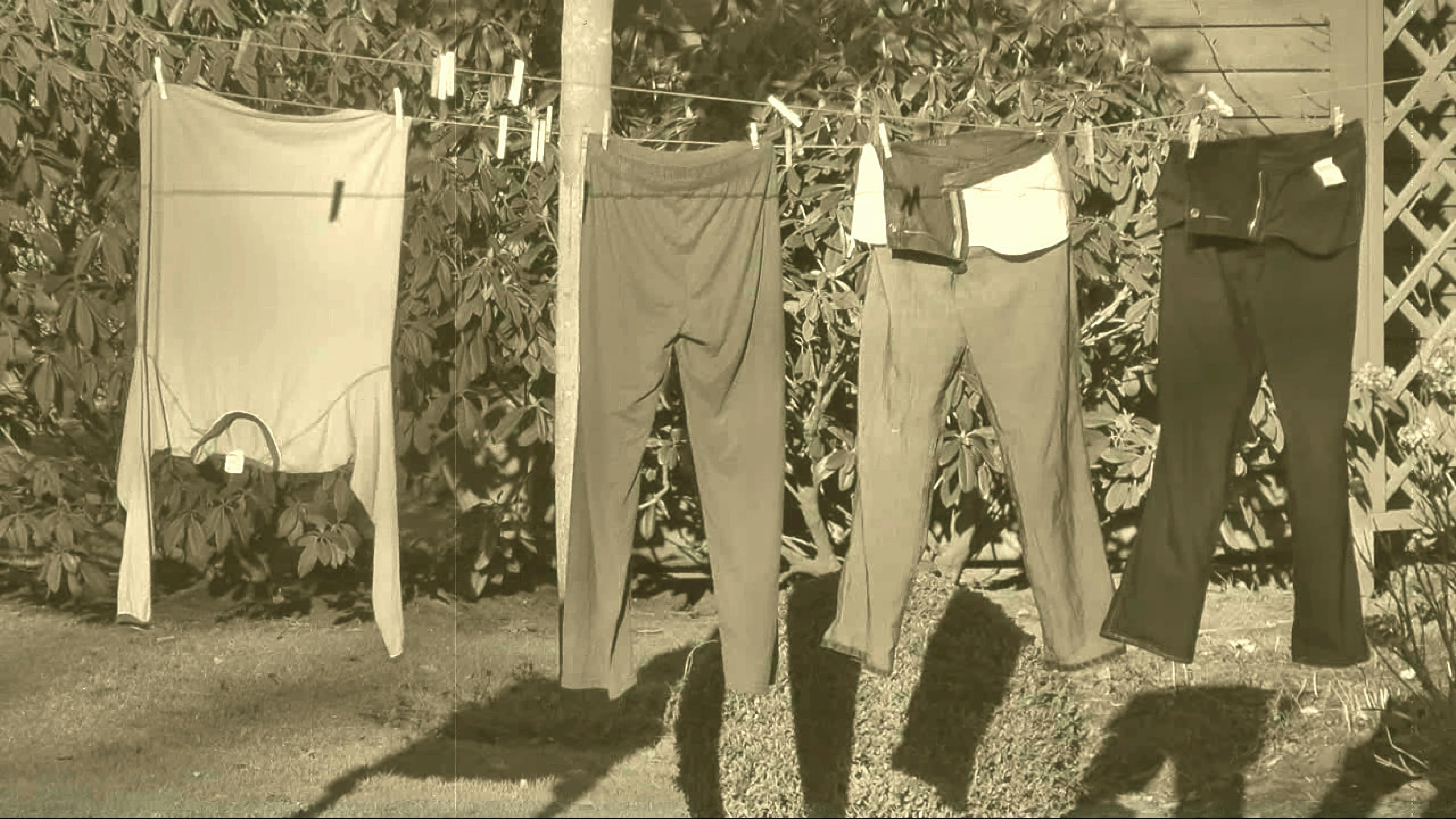 Free stock photo of clothes line, laundry, pants