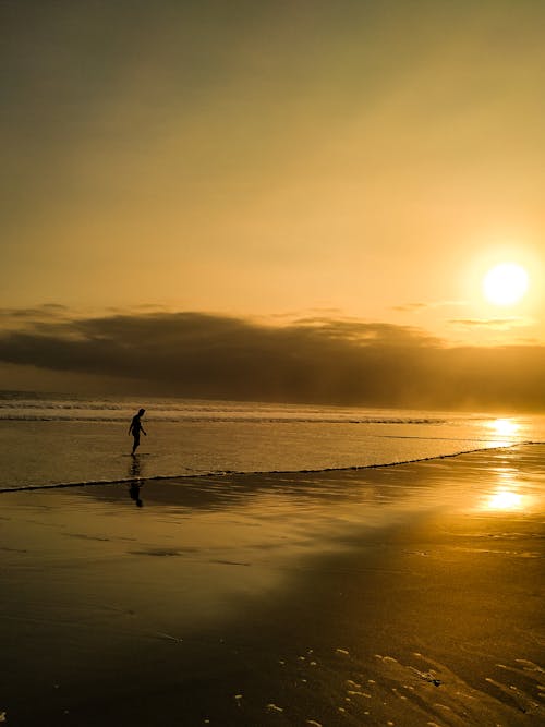 Golden Hour at the Beach