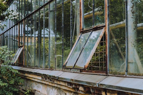Rusty Window Frames