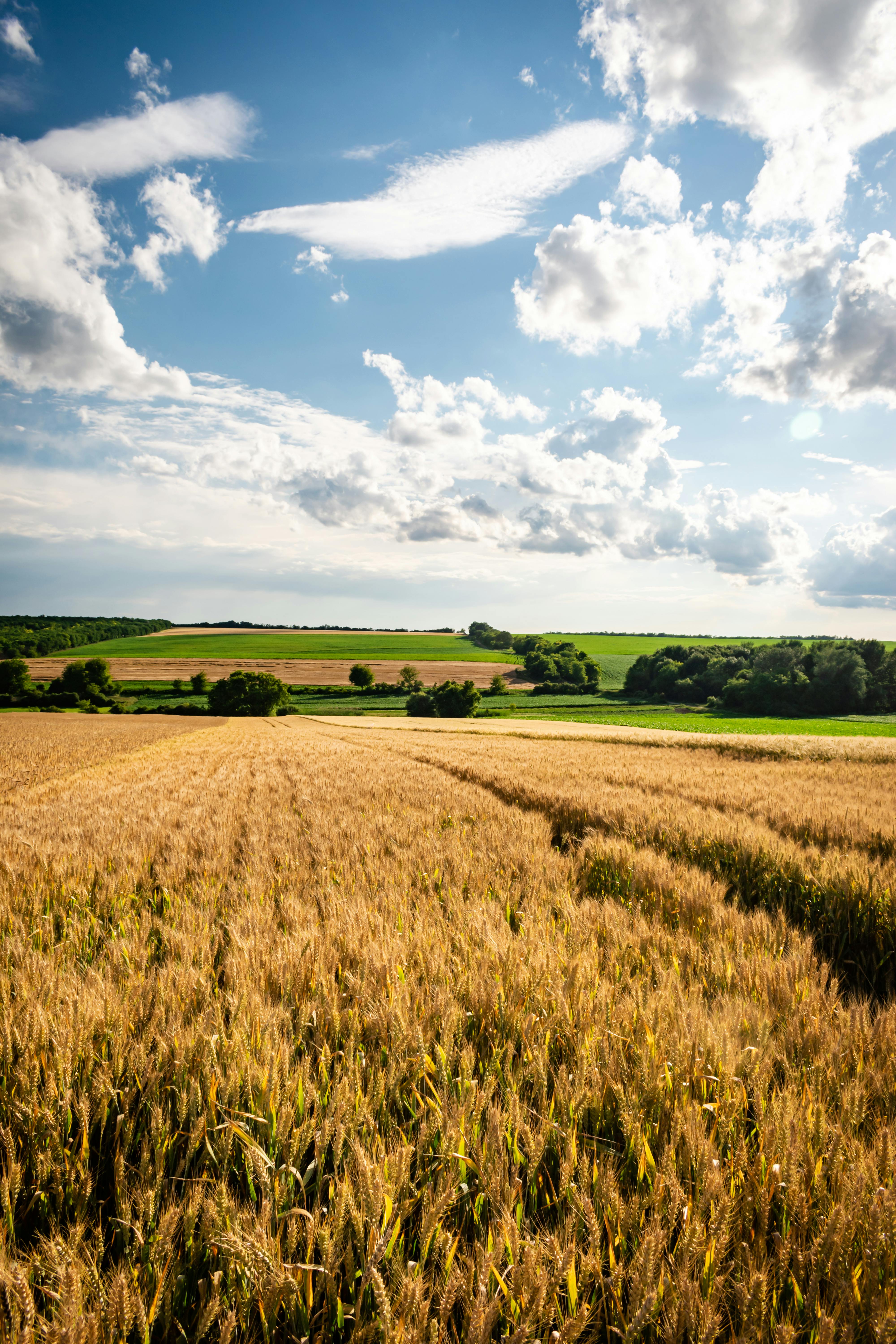 Ar-Ge Çalışmaları