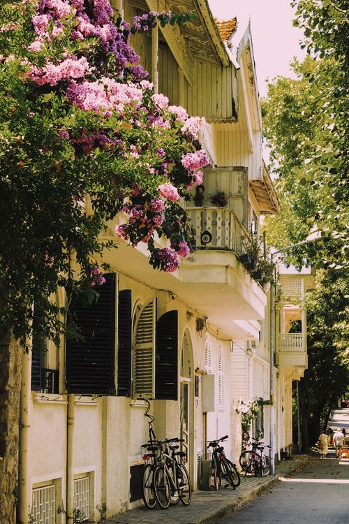 Free Discover the serene beauty of an Istanbul alley lined with bicycles and vibrant flowers. Stock Photo