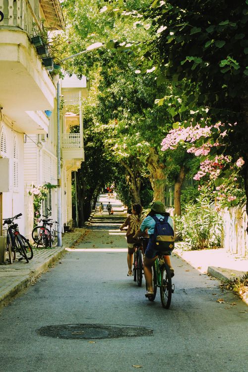 Free Two people cycling on a leafy street in İstanbul, Türkiye, capturing a serene summer day. Stock Photo