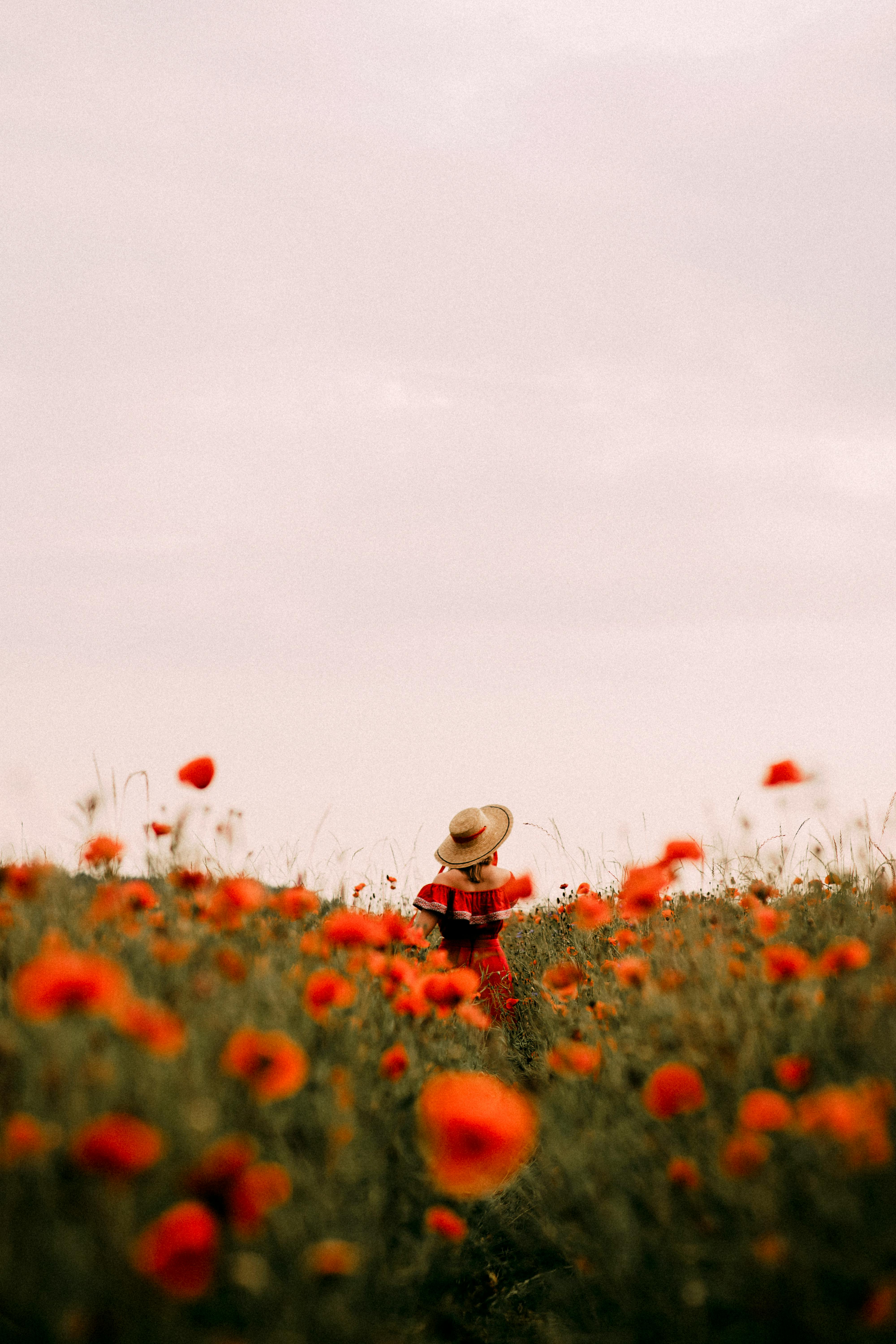 woman in straw hat walking across red poppy field
