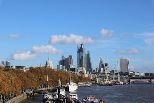 High-Rise Buildings in the City