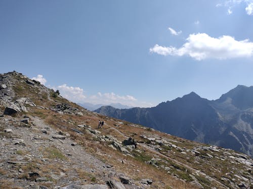 Foto d'estoc gratuïta de alpinistes, aventura, aventurers