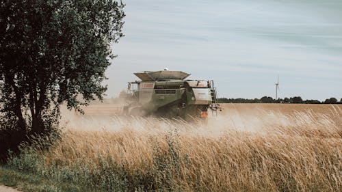 A Combine Harvester in a Field