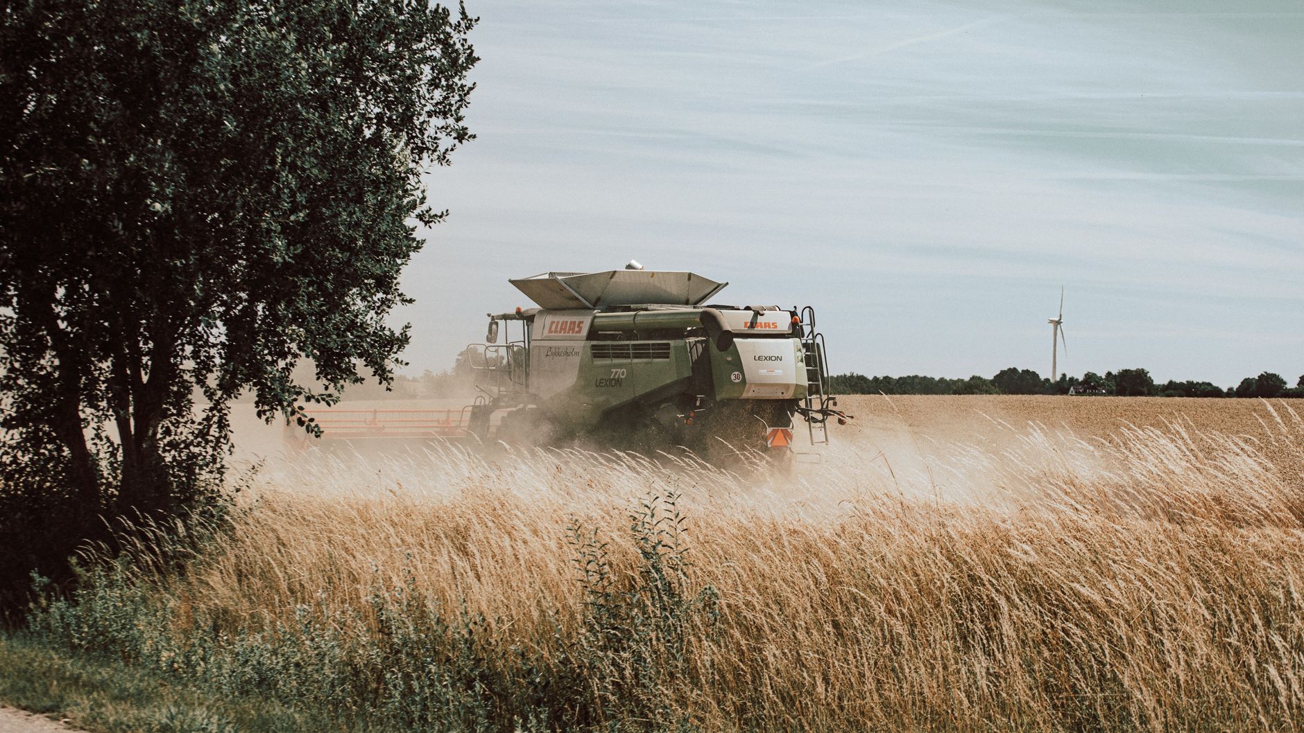 farm field harvest crops photograph for this story