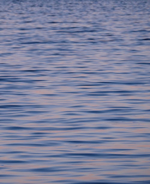 Photo of a Body of Water