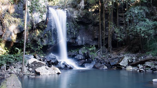 Foto profissional grátis de árvores, cachoeiras, cenário