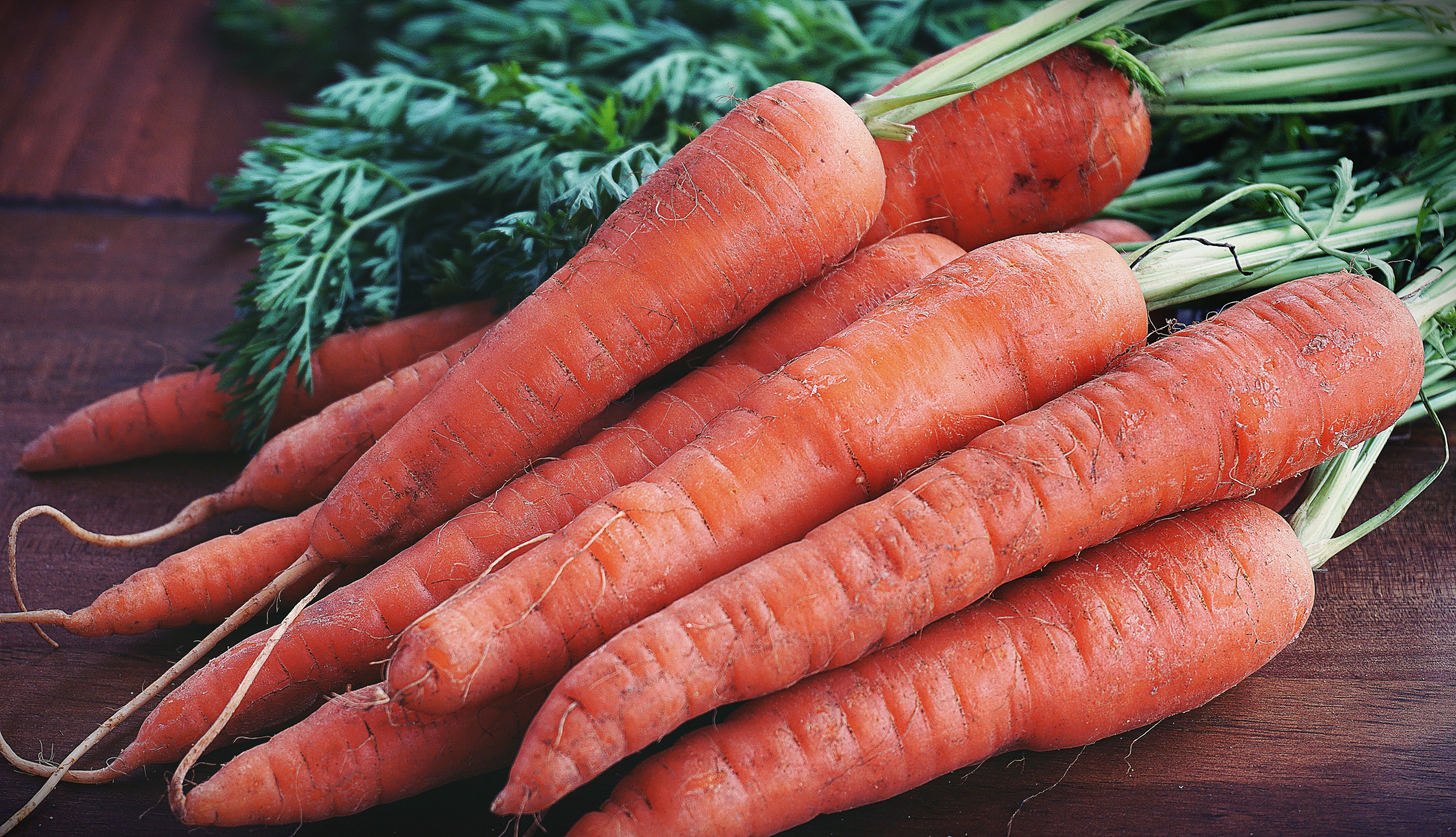 orange carrot color