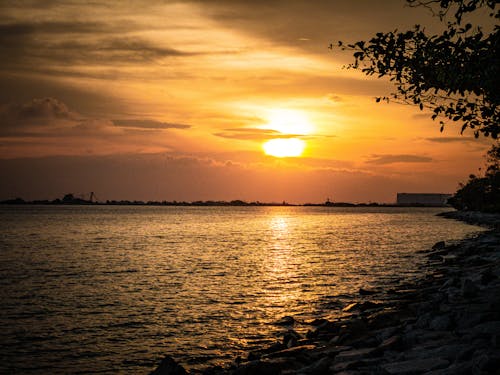 Ocean during Sunset