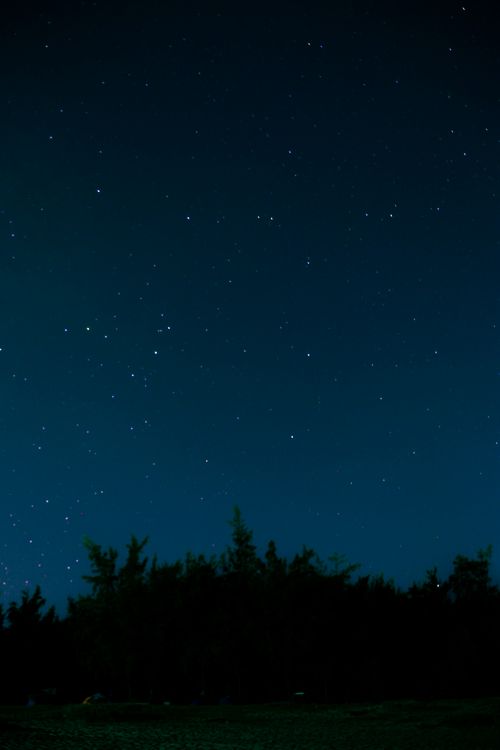 Free Beautiful starry sky above a silhouette of trees in the night. Stock Photo