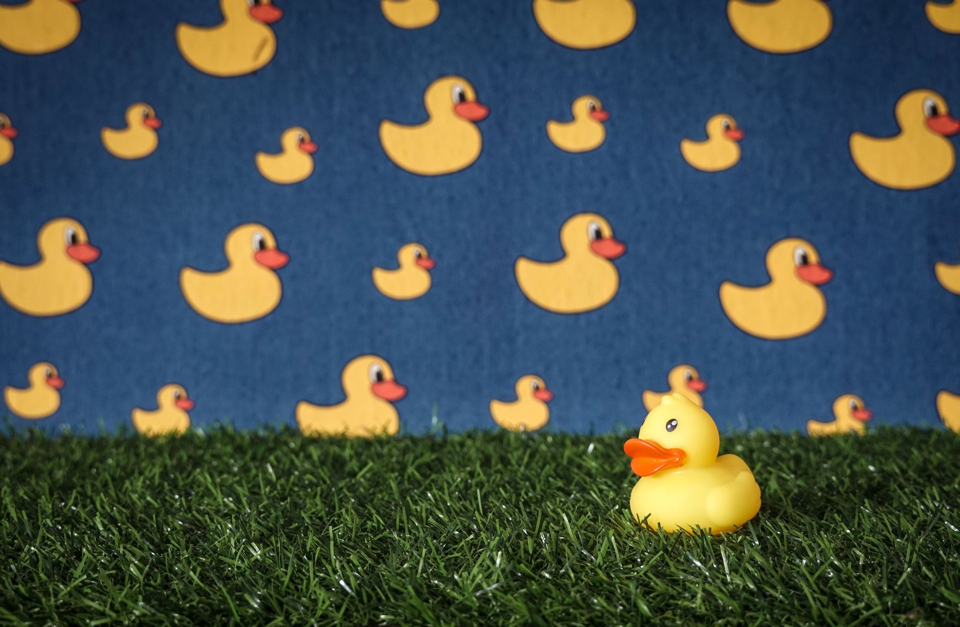 AWS Acquires DuckLabs: Impact on Cloud AI & Data Innovation