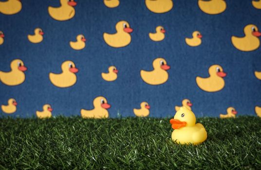 Vibrant yellow rubber duck on green grass with matching duck pattern background.