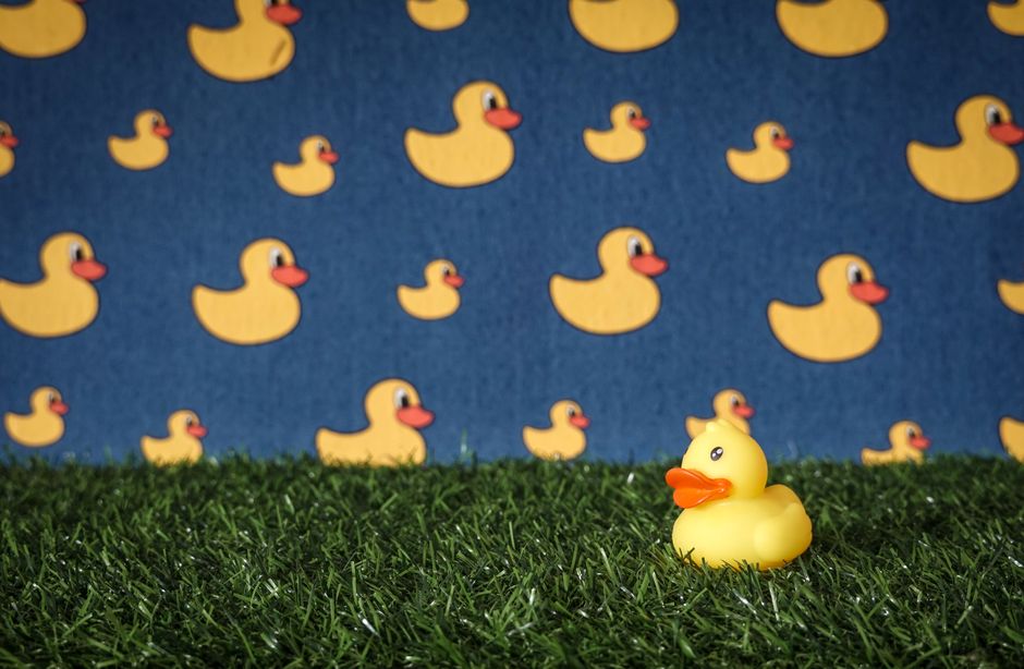 Vibrant yellow rubber duck on green grass with matching duck pattern background.