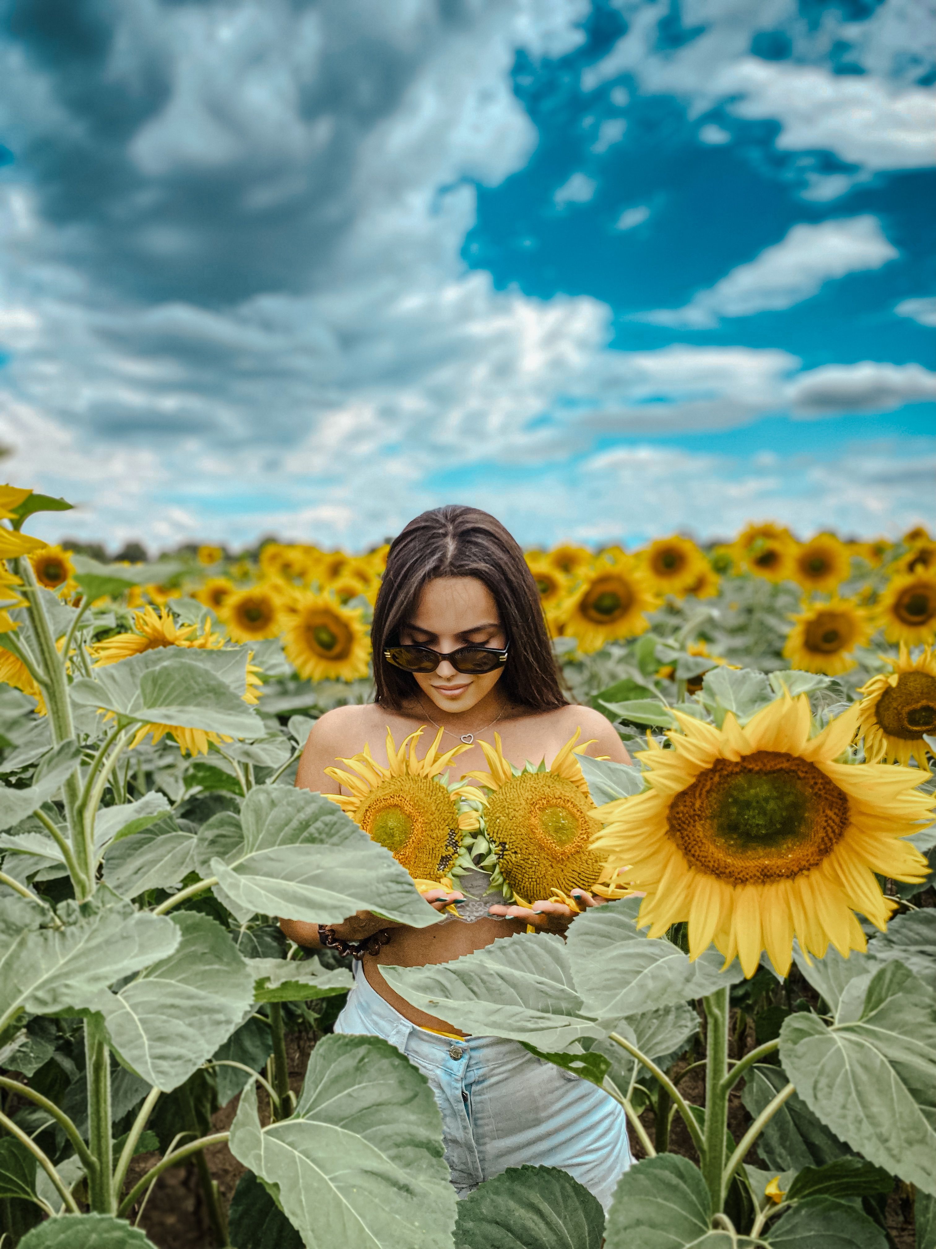 Woman Standing in Sunflower Field · Free Stock Photo
