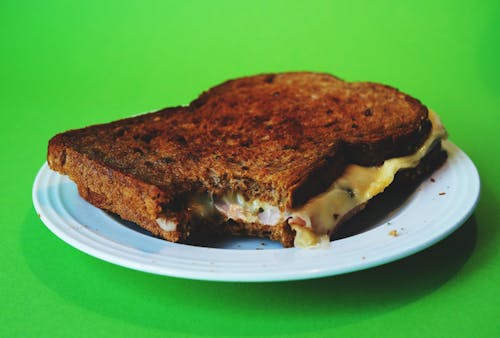 Free stock photo of close up view, food, grilled cheese sandwich