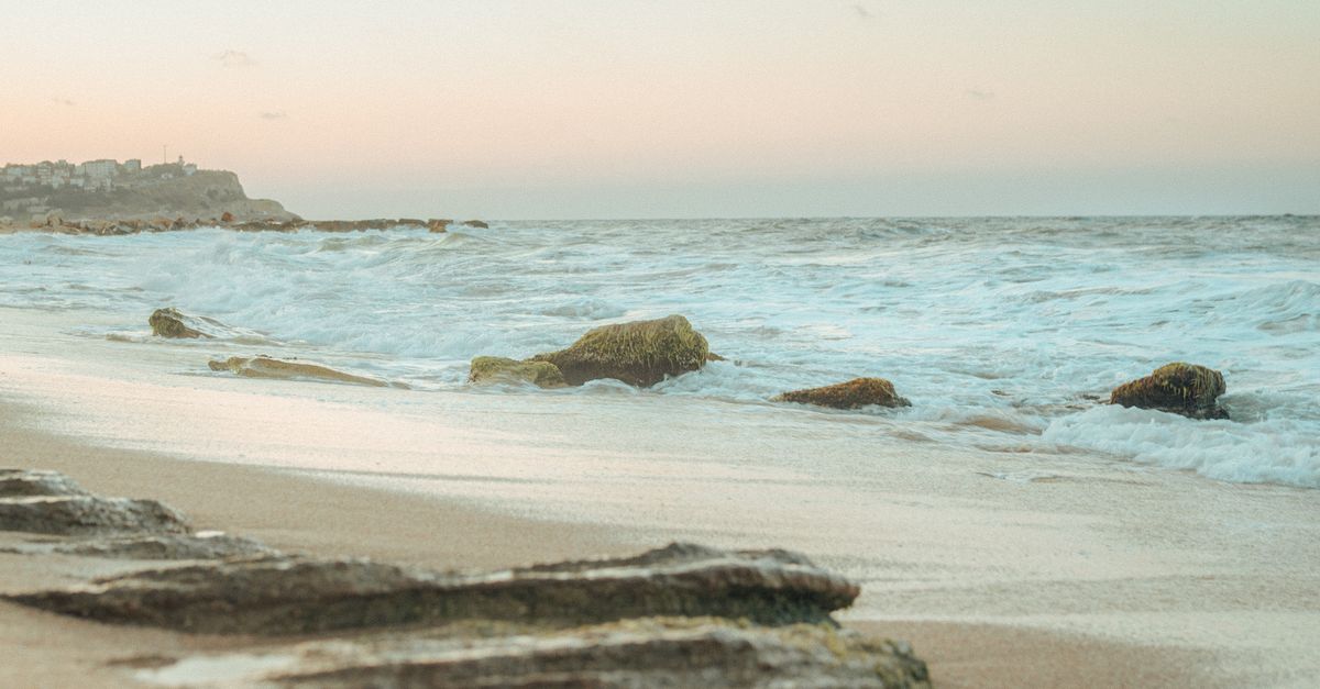 Brown Rocks on the Seashore · Free Stock Photo