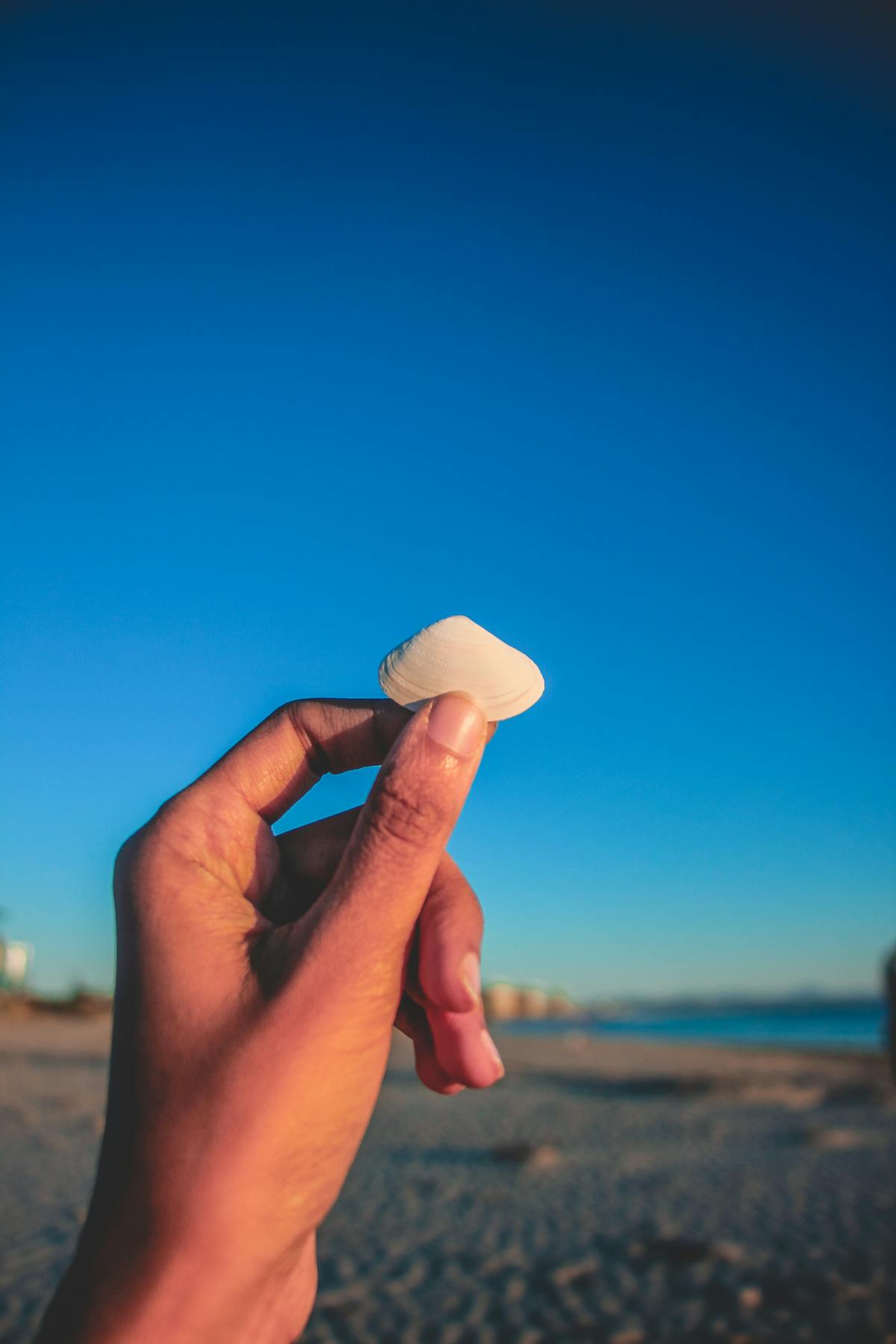 Inspection issue photo