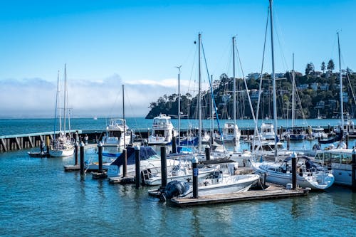 Free Motorboats and Motor Yachts Moored on Sea Shore Stock Photo