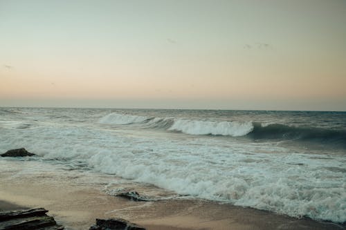 免费 岸邊, 日落, 水 的 免费素材图片 素材图片